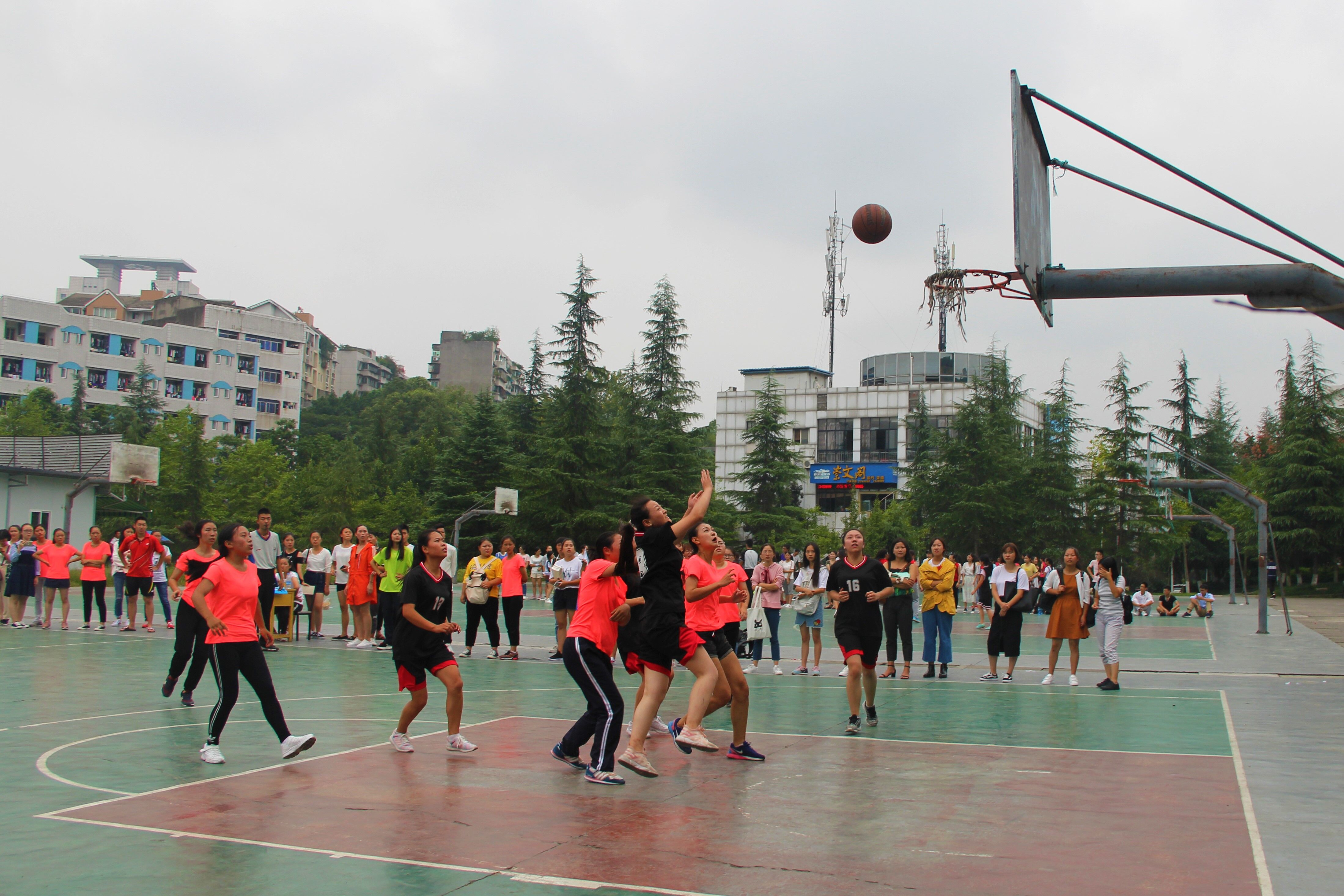 QQ图片20170926231615.jpg