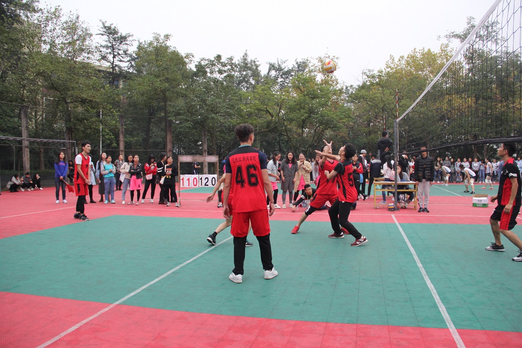 IMG_2034 - 副本.JPG