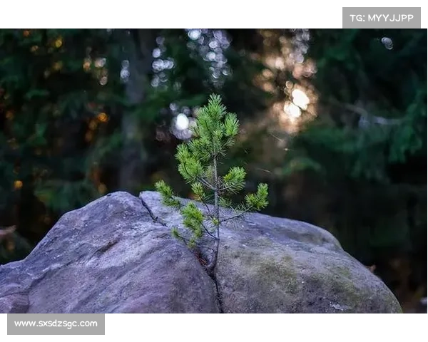 在雄奇大自然的怀抱中领悟生命的无限奥妙与精彩