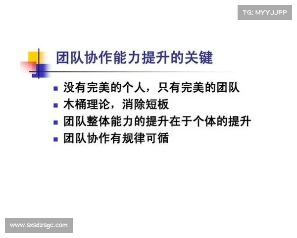提升团队作战效率与协作的策略与实践探索 提升团队作战效率与协作的策略与实践探索