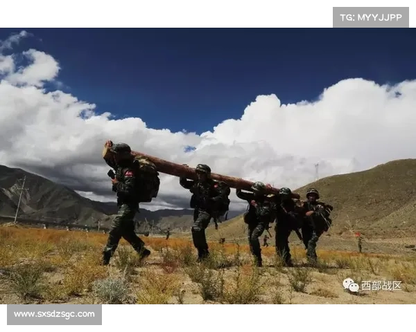 战场环境中的战术运用与多层次策略的巧妙结合与应用分析