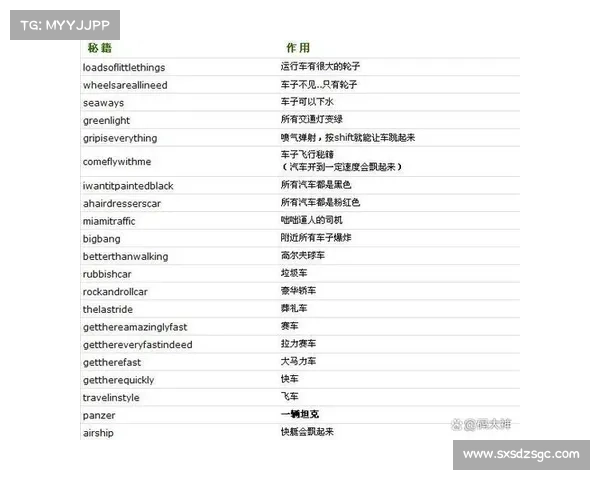 轻松掌握侠盗飞车秘籍使用技巧全攻略 快速提升游戏体验