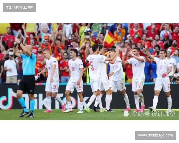 奥地利与瑞士携手举办2008年欧洲杯打造精彩足球盛宴